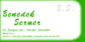 benedek sermer business card